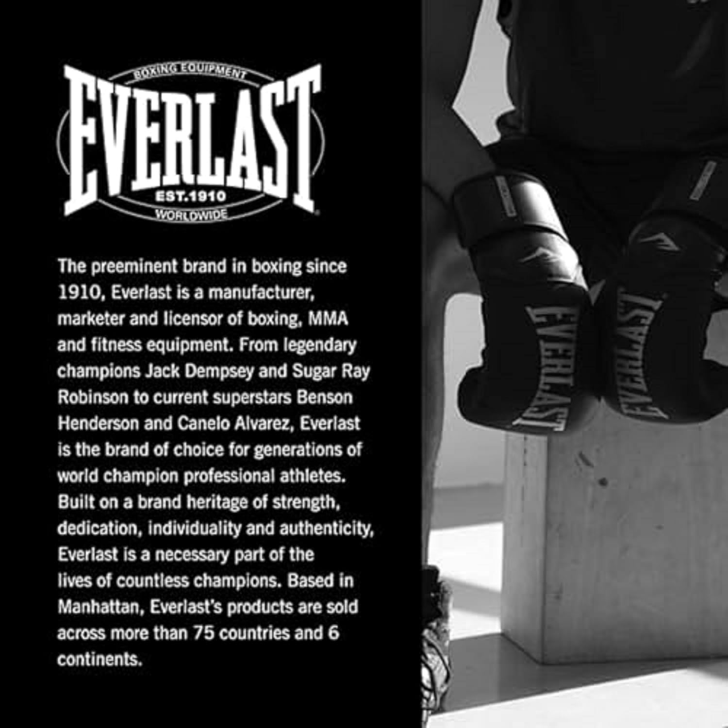 Everlast Elite 2 Boxing Gloves